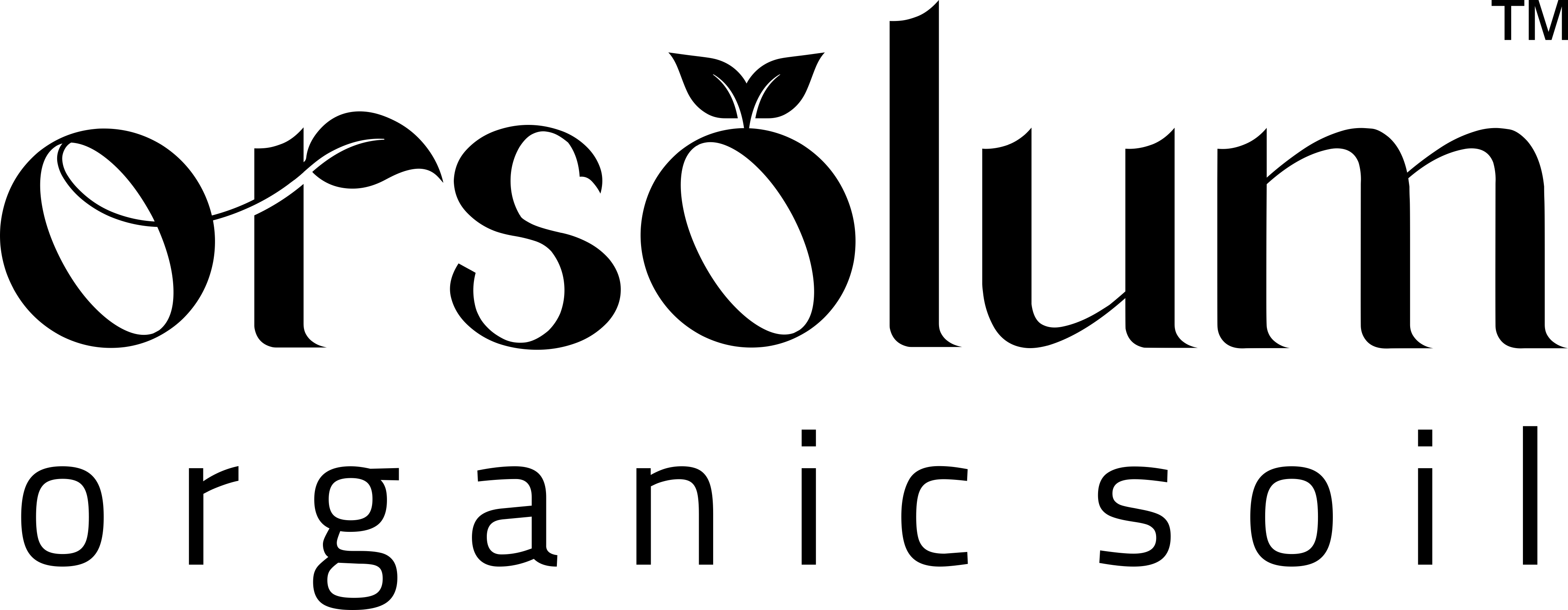 Orsolum